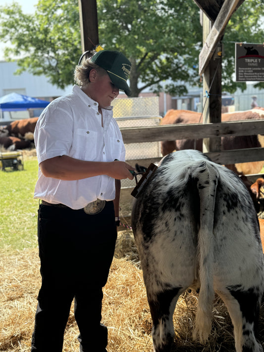 4H Club Beef Show 2024