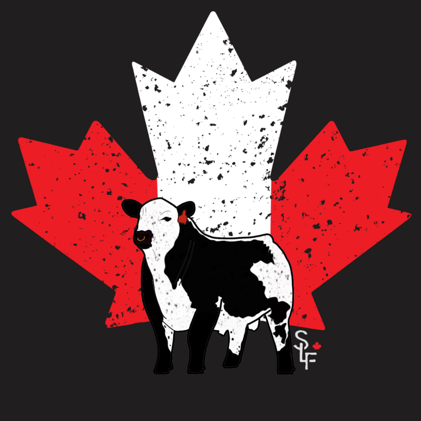 Speckle Park Maple Leaf Bull Tee