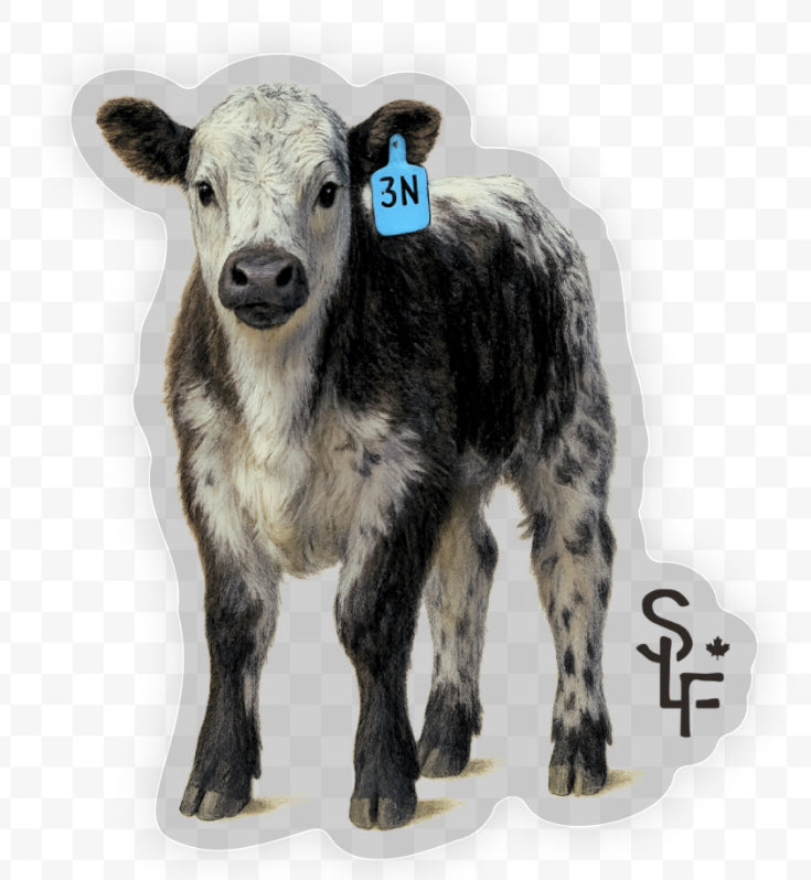 Sticker - SLF 3M Bull Calf
