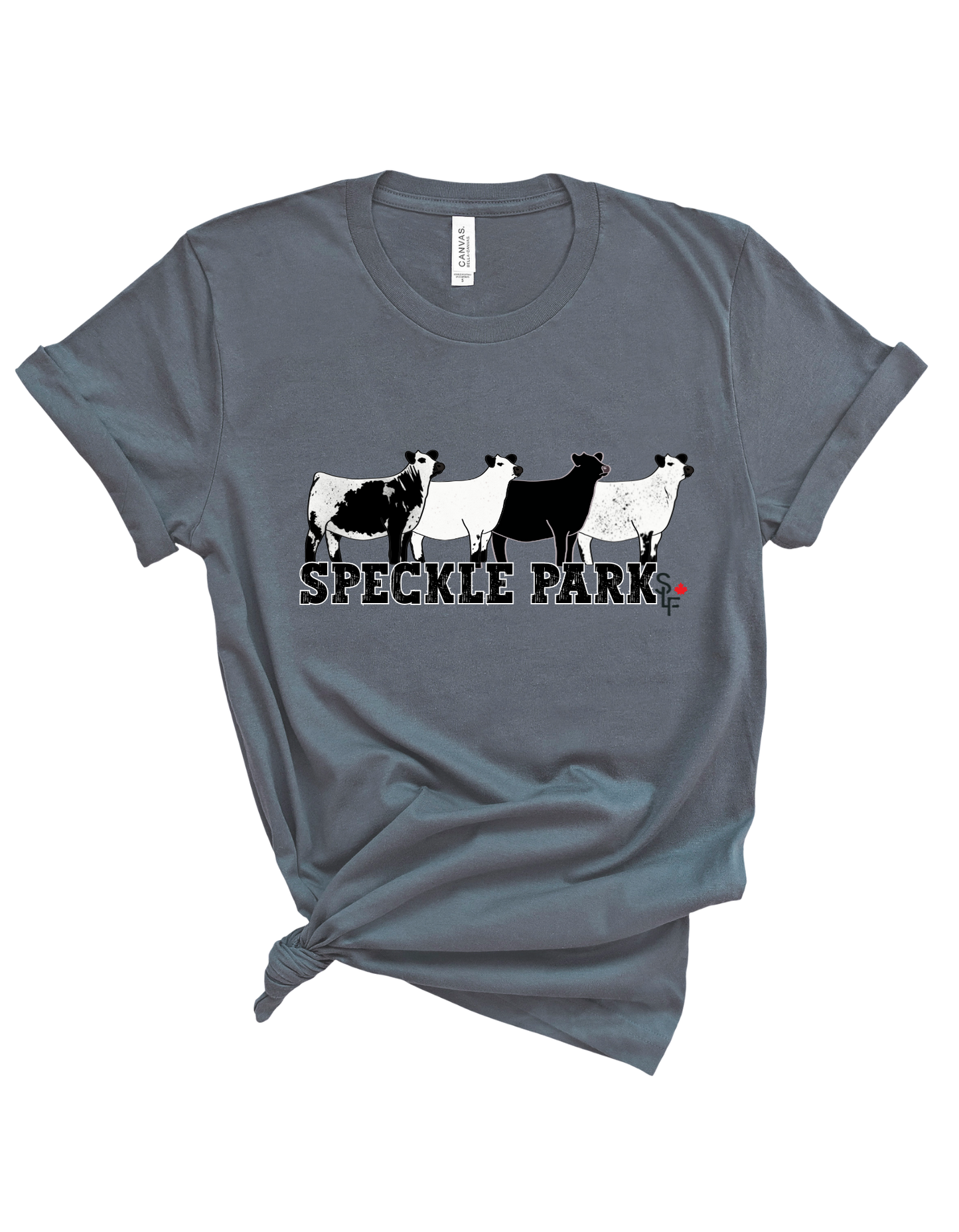 Speckle Park 4 Heifer Tee (3 Colour Options)