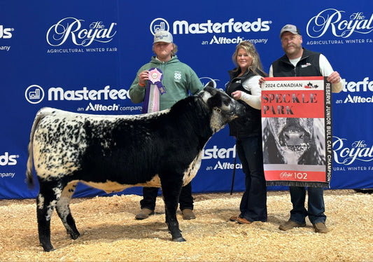 The Royal Agricultural Winter Fair Canadian Speckle Park Show 2024