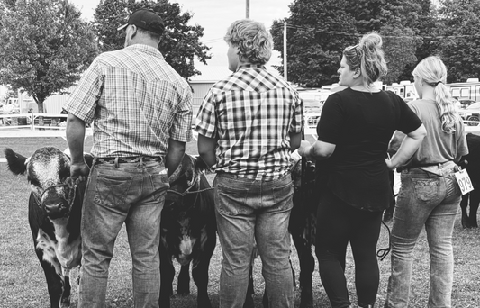 Bobcaygeon Fall Fair Beef Show 2024