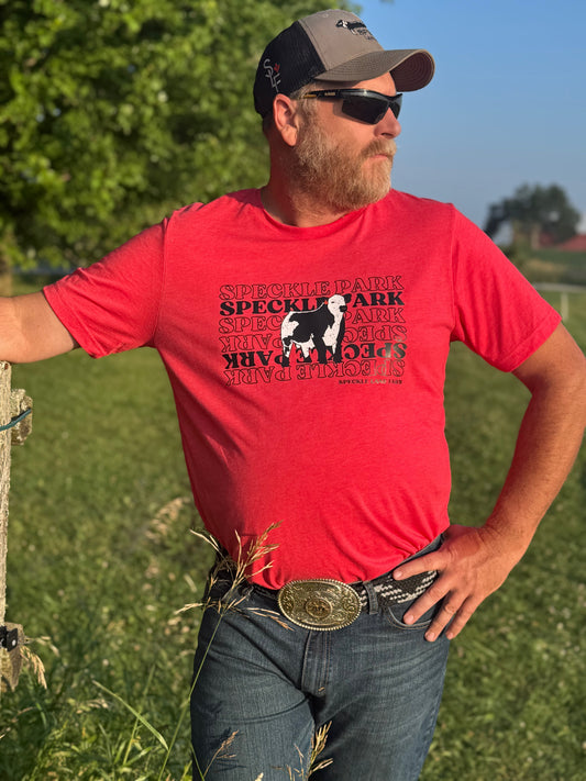 Speckle Park Bull Tee