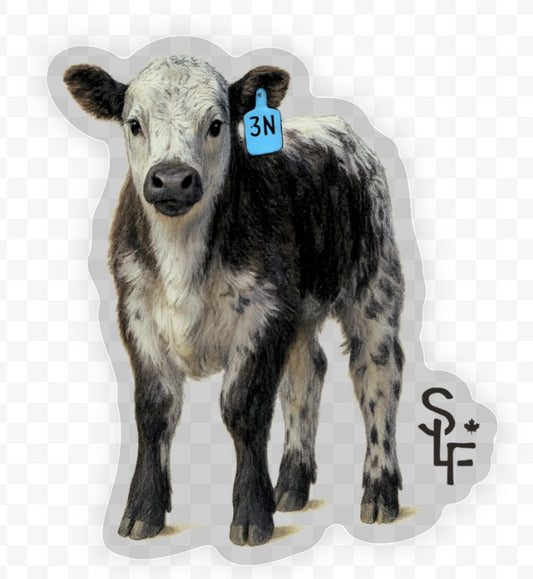 Sticker - SLF 3M Bull Calf