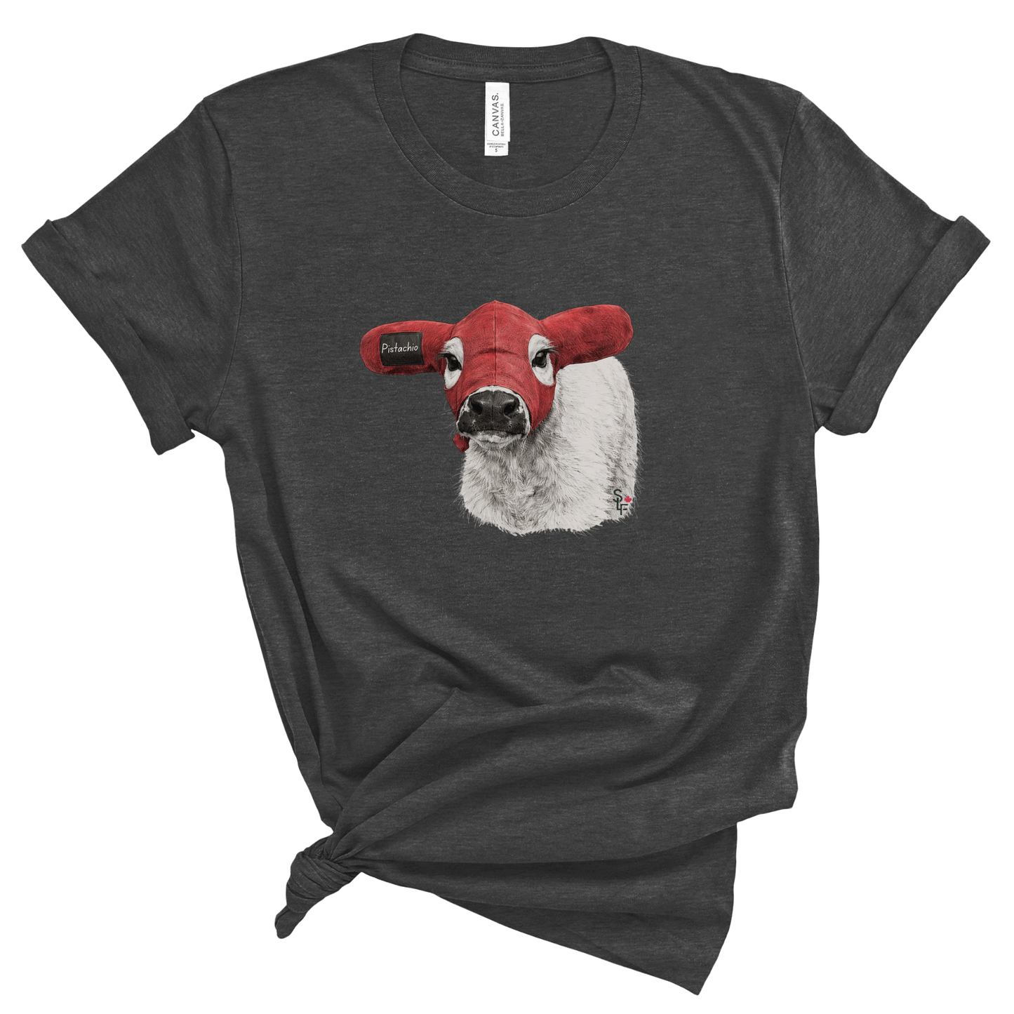 Pistachio Masked Moo Tee